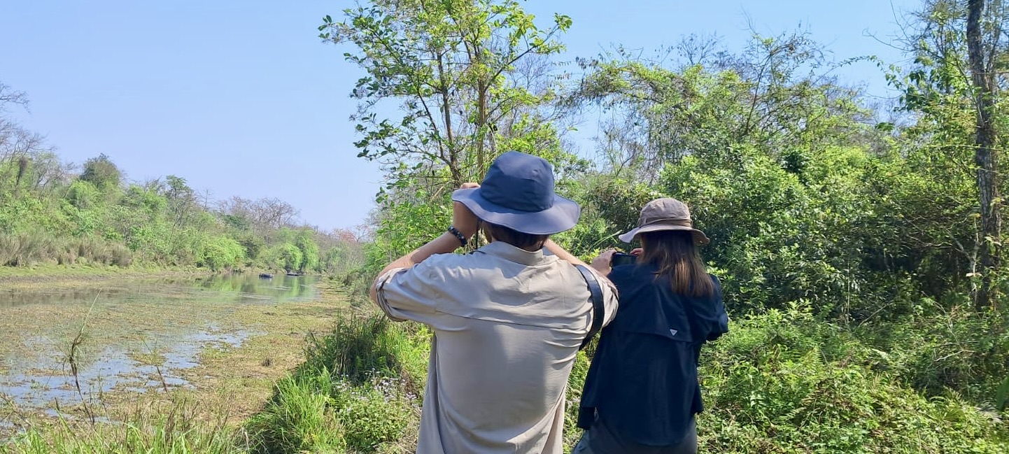 jungle walk